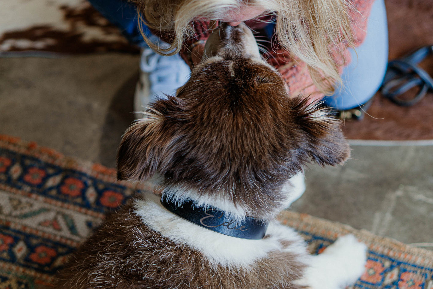 Best FFFriend AirTag Collar